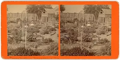 FLORIDA SV - Fernandina Beach - Flower Garden - 1870s RARE! • $75