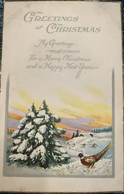 1922 Vineland NJ Pheasant Snow Christmas Greetings Postcard New Jersey Winter • $4.99