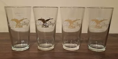 Set Of 4 Yuengling Eagle Logo Beer Glasses Pottsville PA USA • $19.50