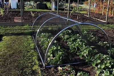 Garden Hoop Tunnel With Netting Portable Domed Garden 0.68m High X 1.2m Wide • £54.99