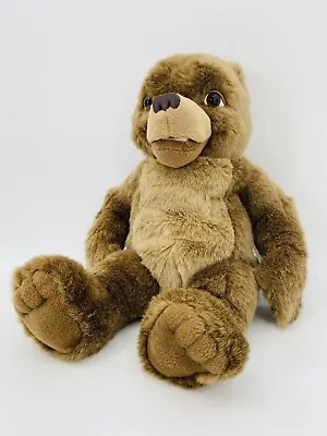 Vintage 1998 Kidpower Maurice Sendaks Little Bear Talking Laughing Plush Tested • $49.99