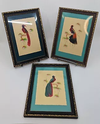 Vtg Lot Of 3 Mexican Folk Art Feathercraft Bird Feather Framed Pictures • $35