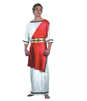 Mens Adult Greek God Roman Julius Caesar Toga Fancy Dress Costume Outfit Shawl • £15.99