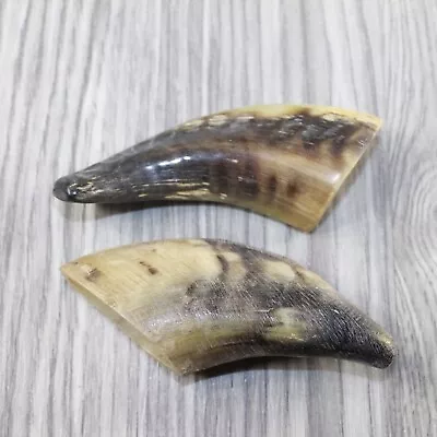 2 Small Polished Goat Horns #0743 Natural Colored • $17