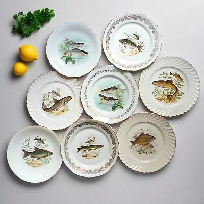 8 Mix And Match Fish Plates. Vintage French Mismatched Fish Dinner Plates • £225.20