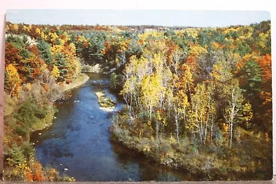 Michigan MI Newaygo Muskegon River Scenic Center Postcard Old Vintage Card View • $0.50