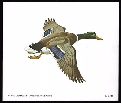 Vintage 1973 MALLARD DUCK Bird Print - American Arts & Crafts 7  X 6  • $7.95