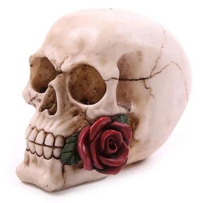 Skulls - Gruesome Gothic Horror Fantasy Head Collectable Small Ornament Gift • £17.39