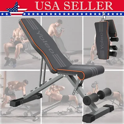 Adjustable Dumbbell Weight Bench Full Body Workout Folding Incline Decline Gym • $69.99