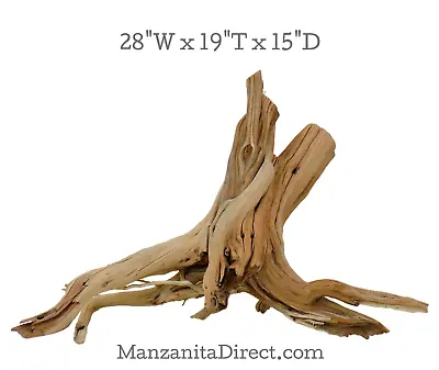 Manzanita Driftwood Stump Aquarium Or Reptile From ManzanitaDirect 0225-11 • $200
