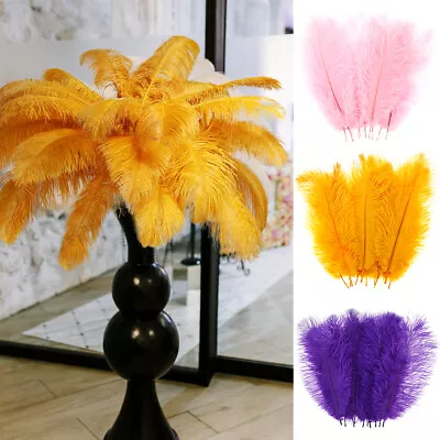 10X Ostrich Feather Multi-Color Ostrich Feather Plume Decorative Feather Craftㄨ • $19.71