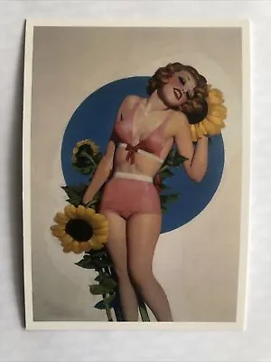 £2.15 • Buy Pin Ups Postcard Erotica Nostalgia Beauty By Taschen