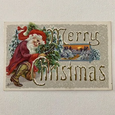 $24.95 • Buy Antique Postcard Foil Embossed Christmas Beautiful Odd Lions Mane Santa 250 C