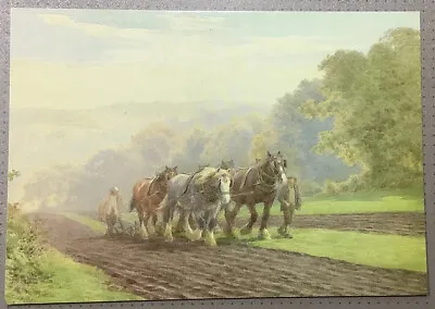 Autumn Ploughing Shire Horse Drawn Plough Farming Charles J Adams Art Postcard • £1.99