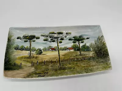 Handpainted Porcelain Curitiba PR Brazil Vera Swen Pintado A Mao Tray Dish • $19.99