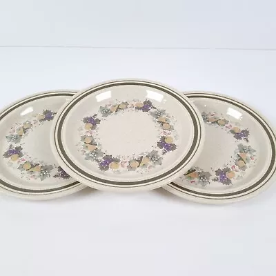 £14.70 • Buy Royal Doulton Lambethware Harvest Garland Side Plates 16.5cm England X 3