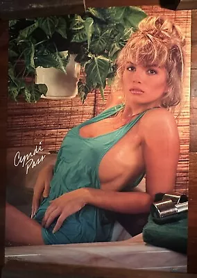 1991 STARMAKERS Poster “Too Hot Cyndi” Cyndi Pass - 22x32 -Original Vintage • $24.95