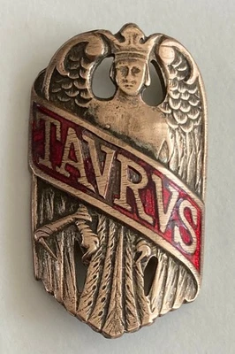 LOGO STEMMA FREGIO Mostrina Emblema Fregio Alpina Originale EUR 28,00