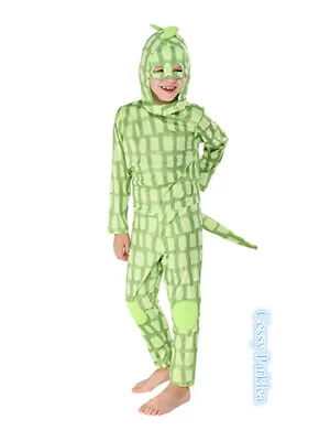 X-E1-3 Boys Girls Green Chameleon Lizard Reptile Animal Book Week Costume • $14.50