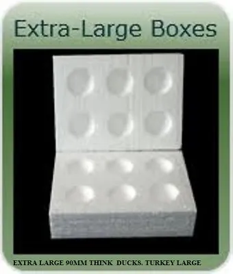 20 X Extra Large Polystyrene Egg Boxes Hatching/incubation  Large Ducks Turkey • £29