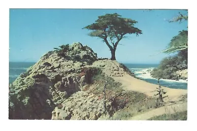 Scenic Seventeen Mile Drive Monterey Peninsula California Vintage Postcard AF227 • $0.99