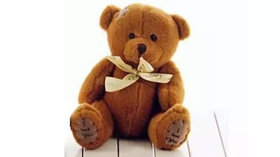 High Quality Teddy Bear Plush Stuffed Soft  I LOVE YOU  Gift  Decoration Toy  • $14.95