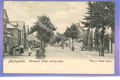 1907c MAENGWYN ST MACHYNLLETH POWYS Montgomeryshire LOCAL PARK NEWTOWN POSTCARD • £2.99