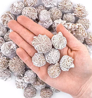$7.99 • Buy 1 Small Desert Rose Gypsum Sand Selenite Rose Gemstone Crystal Rock Baryte