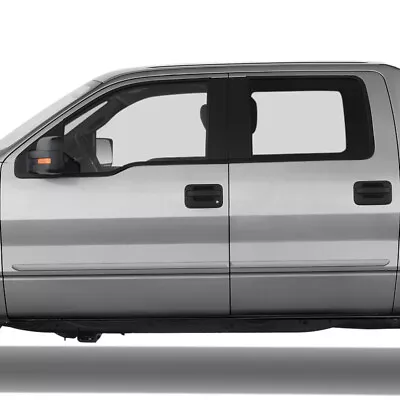 For: Ford F-150 SuperCrew Cab 2009-2014 Painted Body Side Moldings #FE-F15009-CC • $154.29