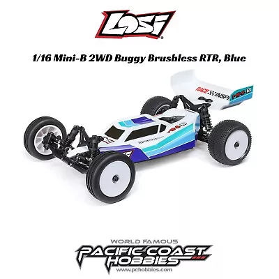 Losi 1/16 Mini-B 2WD Buggy Brushless RTR Blue LOS01024T2 • $249.99