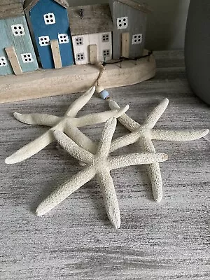 LAST SET 3 X Dried Starfish Coastal Nautical Home Decor Gift Present • £5.95