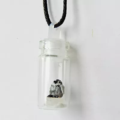 $23.42 • Buy Tiny Miniature Baby Penguin Totem Animal In A Glass Jar Necklace Pendant