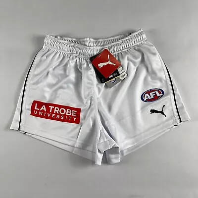 $39.99 • Buy Carlton Blues Away Clash Puma Genuine AFL Footy Gym 3  Shorts Mens Small S W30 