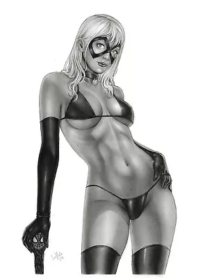 Black Cat (11 X17 ) By Leo Maia - Ed Benes Studio • $9.99