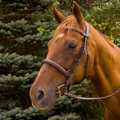 Henri De Rivel Pro Mono Crown Fancy Stitched Padded Bridle • $107.96