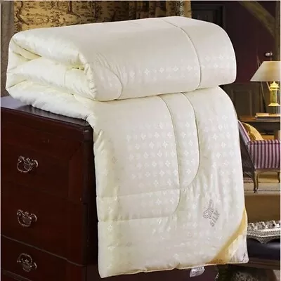 Luxury Jacquard Mulberry Silk Comforter Queen King Size Summer Quilted Quilts • $110.09