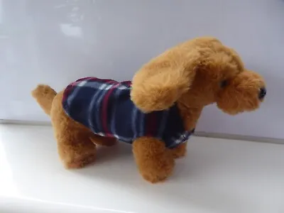 Card Factory With Snuggles DACHSHUND Sausage Dog With Tartan Coat Soft Plush Toy • £5.95