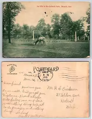 Muncie Indiana ELK IN MCCULLOCH PARK Postcard K305 • $12.99