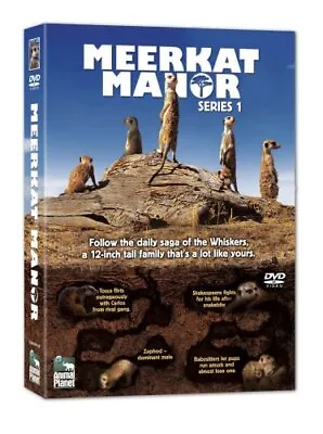 Meerkat Manor: Series 1 DVD (2007) Caroline Hawkins Cert E Fast And FREE P & P • £2.55