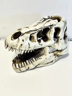 Tyrannosaur Skull T-Rex Skull Gifts Lifelike Resin Crafts Dinosaur Skull Fossil  • £14.22