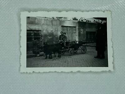 Two Children In Goat Drawn Cart Vintage B&W Photograph Snapshot 1.75 X 2.5 • $9.99