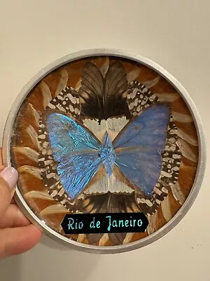 Vintage Iridescent Blue Morpho Butterfly Wing Metal Plate Art Wall Hanging • $28.99