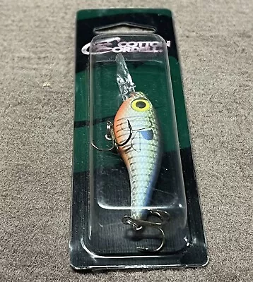 Cotton Cordell Grappler Shad Fancy Shad  Crankbait Fishing Lure • $9.99