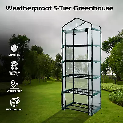 Weatherproof 5-Tier GreenhouseTomato Greenhouse & Greenhouse For Plants/Flowers • £24.99