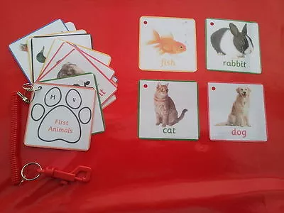 Babies First Animals - First Learning - 16 Flash Cards- Eyfs - Buggy Toy • £5.60