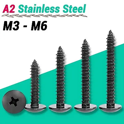 M3-M6 Black A2 Stainless Steel Phillips Pan Head Self Tapping Screws Pozi Pili • £1.67