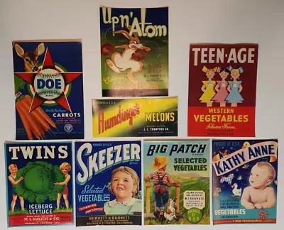 Vintage Original Lot Of 8 Fruit Crate Labels Large Ephemera Antique Oranges S61a • $24.99