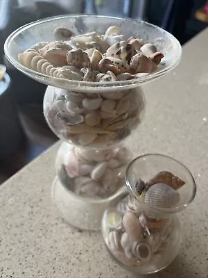 Large Mixed Selection Of Sea Shells Weighs 1.3kg INCLUDES Shell Plantpot Holder • £10