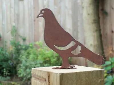 Rusty Metal PIGEON Bird Garden Ornament. Rustic Fence Post Topper. Metal Decor. • £5.95