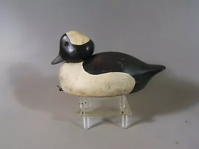 Bufflehead Duck Decoy Wildfowler Decoy Co. Pt. Pleasant NJ Ca. 1970 • $45